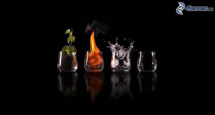 živly, zem, oheň, voda, vzduch, poháre, rastlina, šplech