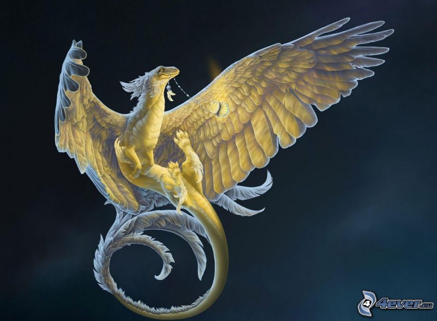 drak, krídla