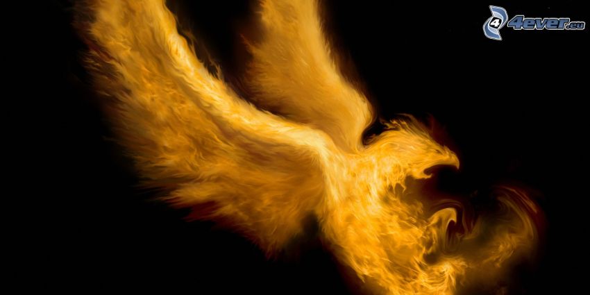 Fénix, ohnivý vták