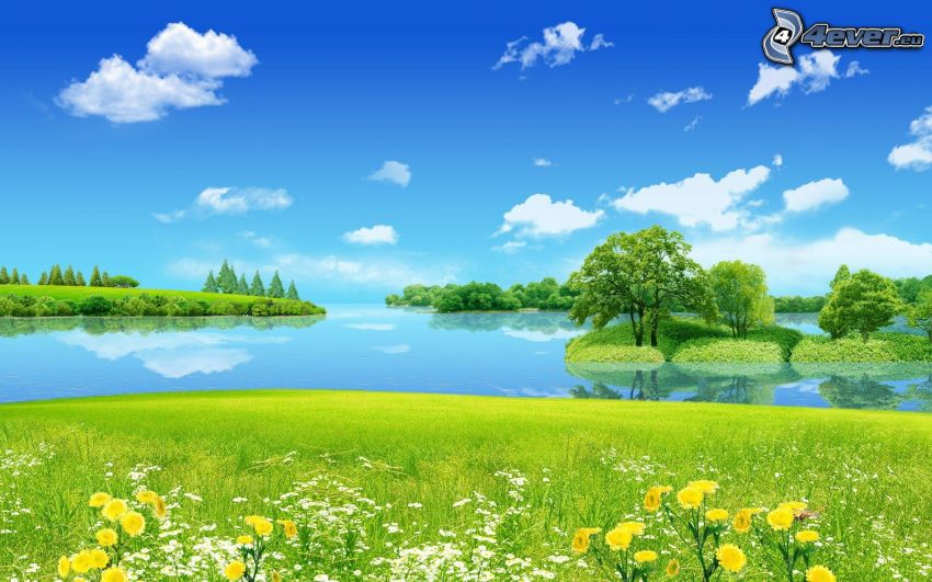 kreslená krajina, jazero, lúka, stromy, žlté kvety, biele kvety, oblaky, modrá obloha