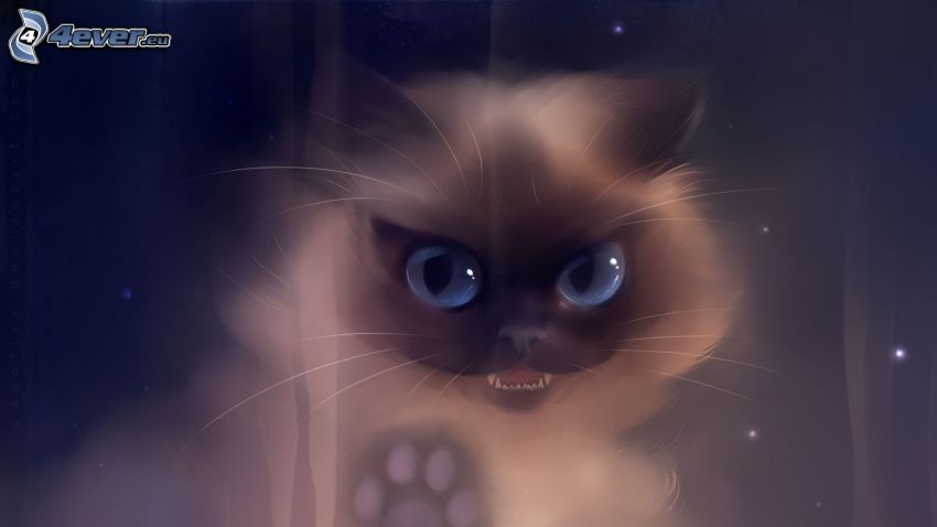 kreslená mačka, modré oči