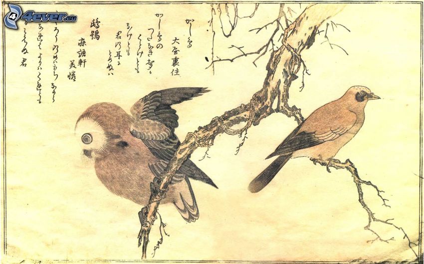 kreslená sova, vtáčik, konáre, obraz