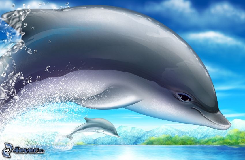 kreslené delfíny, skákajúce delfíny
