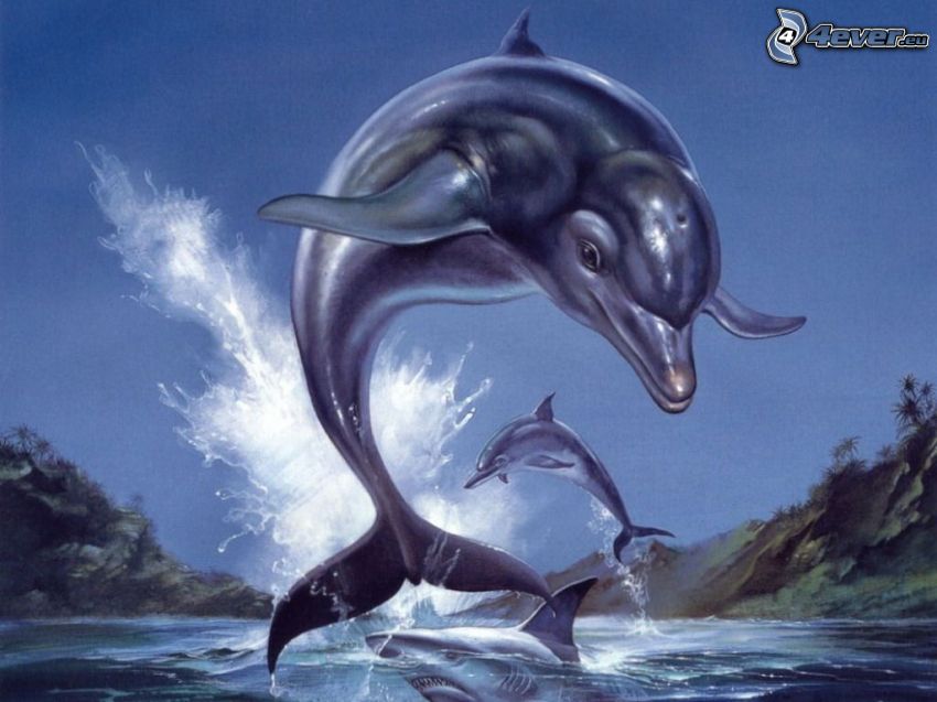 kreslené delfíny, skákajúce delfíny