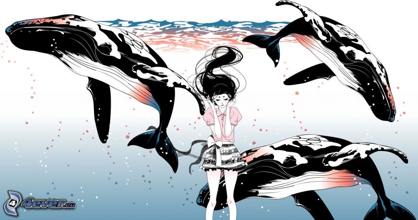 kreslené dievča, veľryby