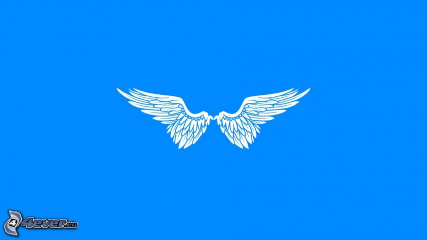 kreslené krídla, modré pozadie