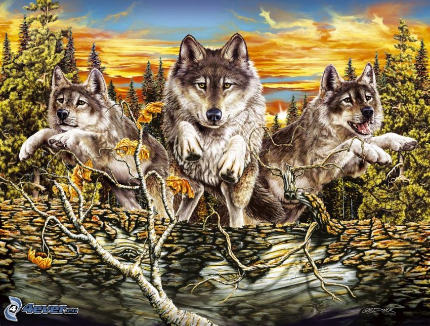 kreslené vlky, les
