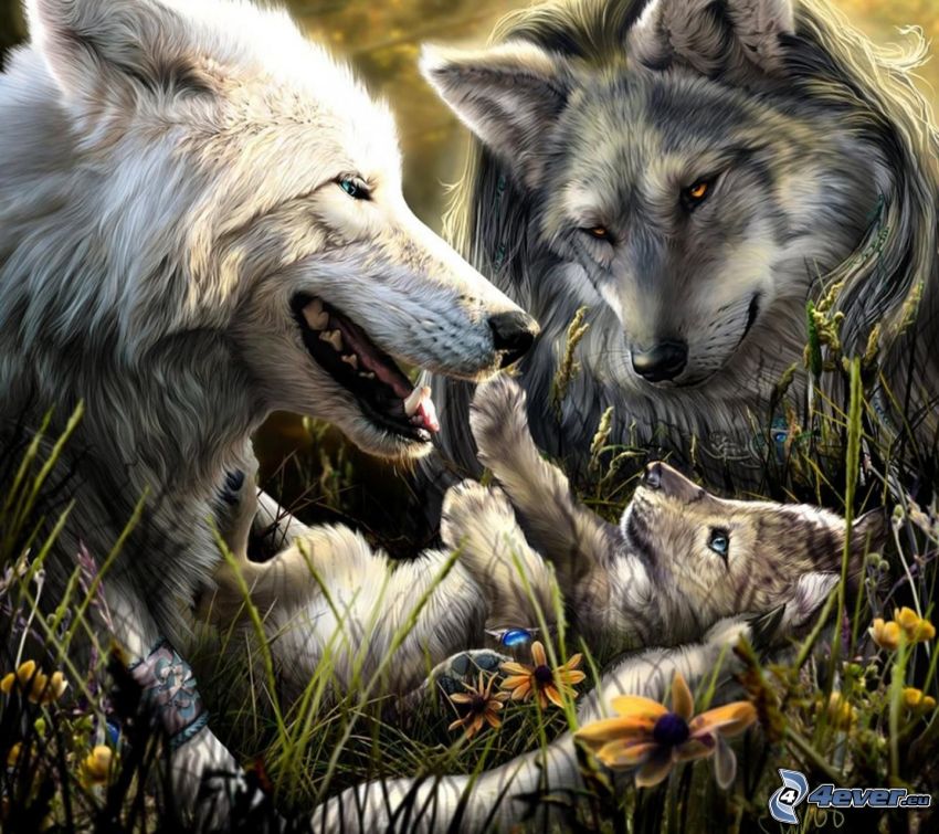 kreslené vlky, mláďa