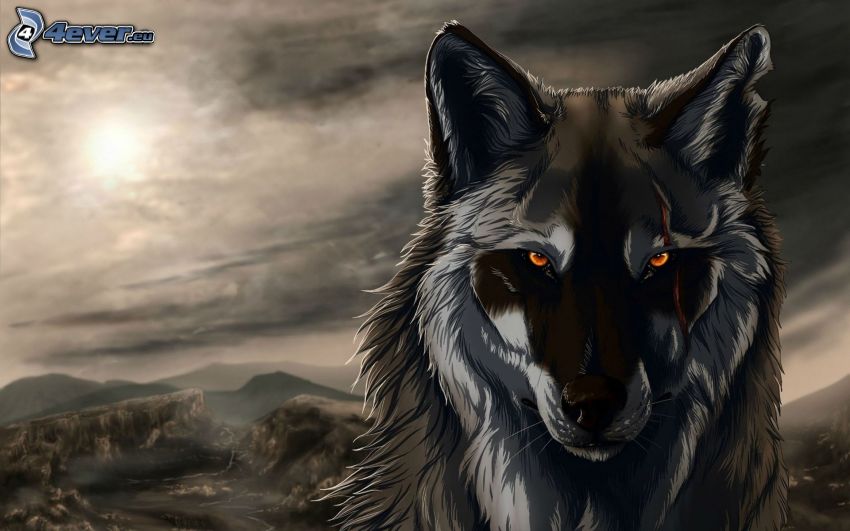 kreslený vlk, noc