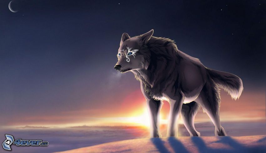 kreslený vlk, sneh, noc