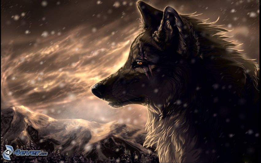 kreslený vlk, zasnežené pohorie