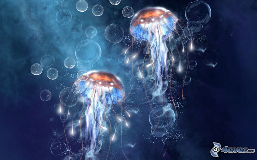 medúzy, bubliny