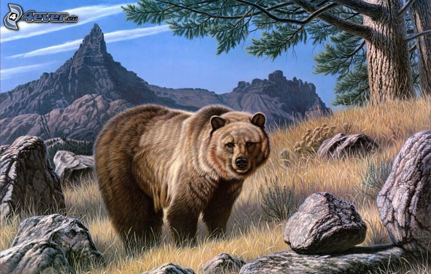 medveď, kresba, balvany, skalnatá hora