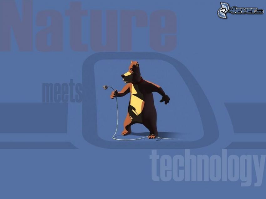 medveď, príroda, technológia