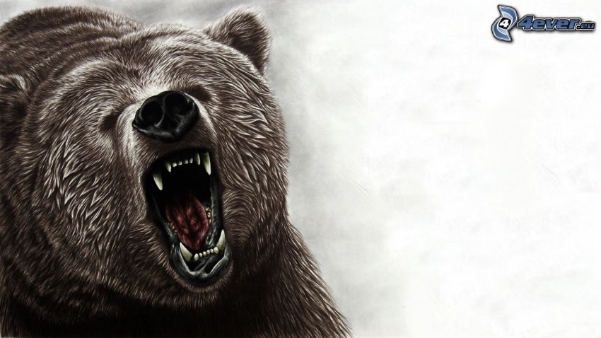medveď grizly, tlama, zívanie