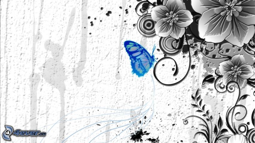 motýľ, kreslené kvety