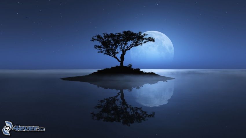 ostrov, silueta stromu, mesiac, more