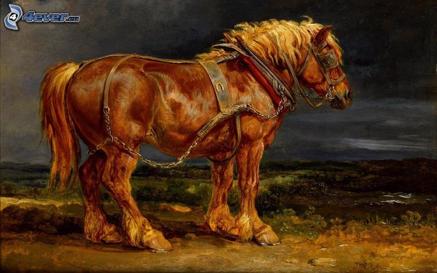 ťažný kôň, maľba