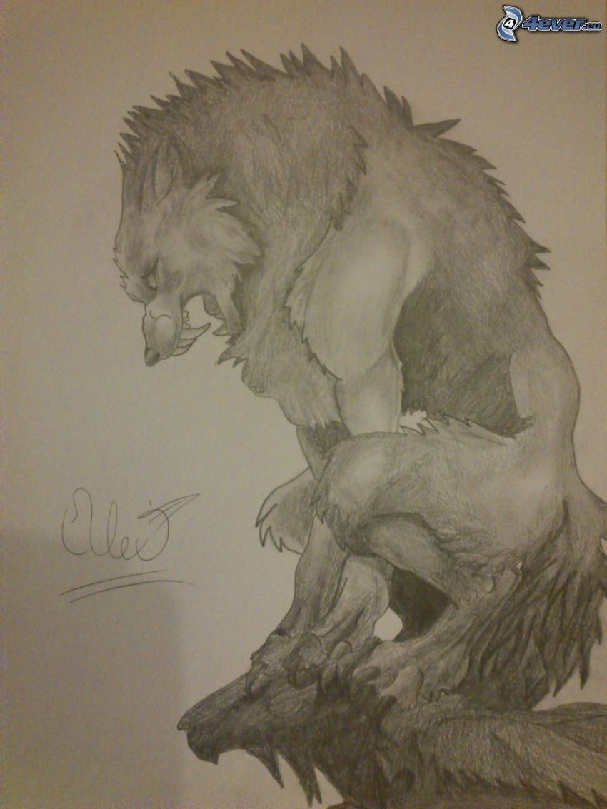 vlkodlak, kreslený vlk
