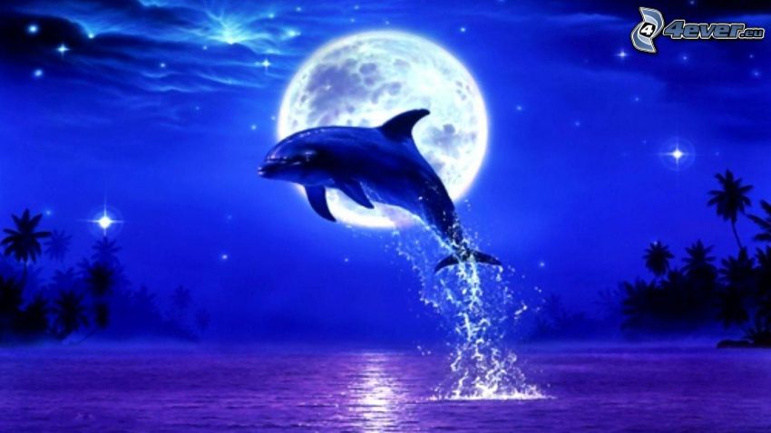 skákajúci delfín, mesiac, spln