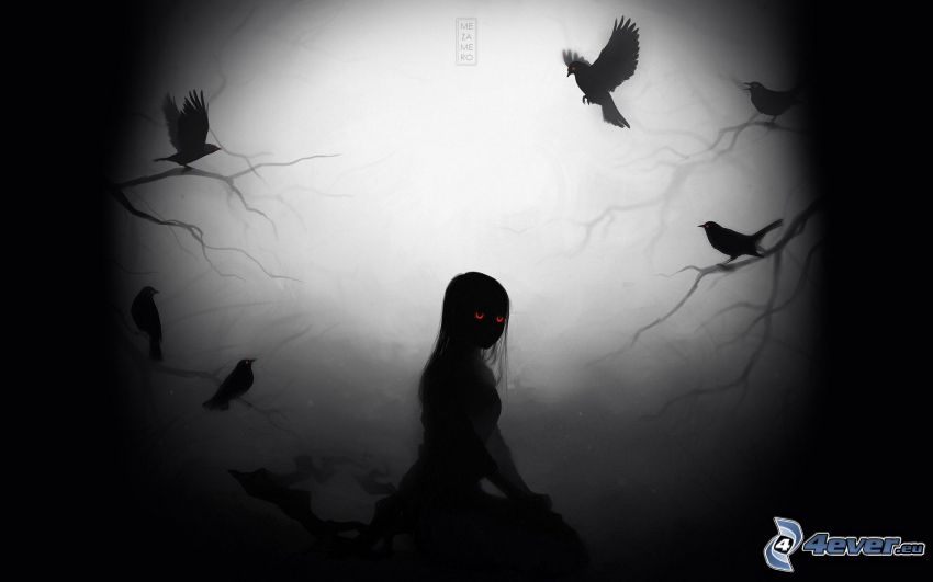temné dievča, vtáky, tma