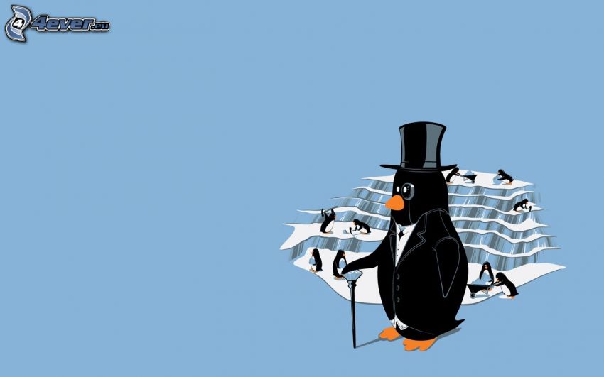tučniaky, ľadovec