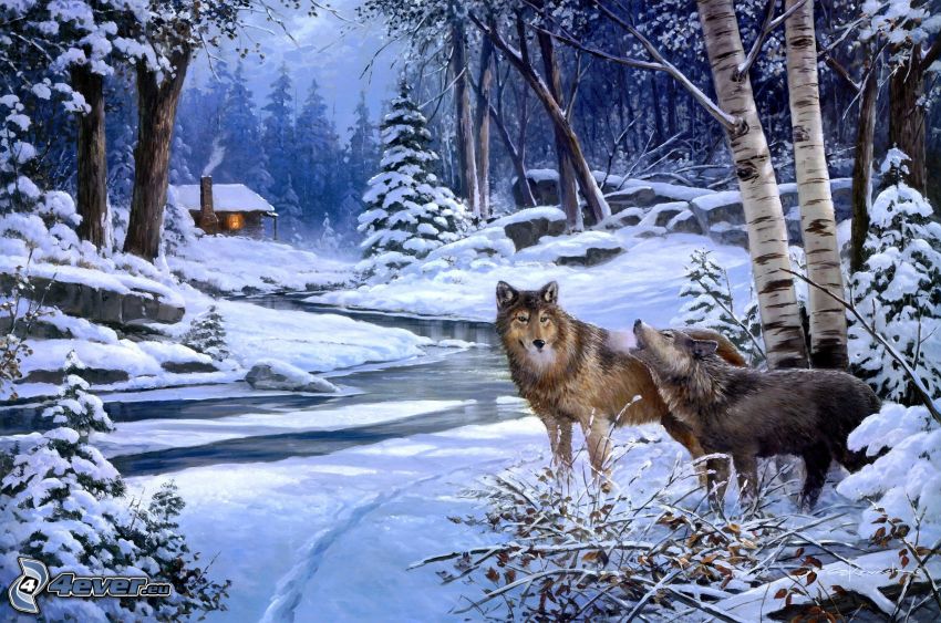 vlky, rieka, zasnežený les, domček
