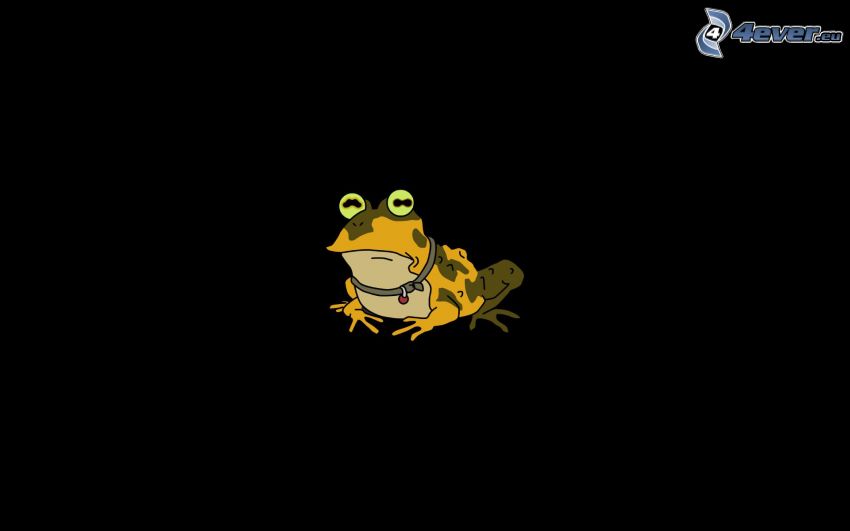 žaba