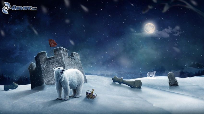 zasnežená krajina, ľadové medvede, noc, mesiac, koruna