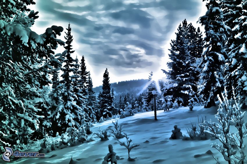 zimná krajina, zasnežené stromy, sneh