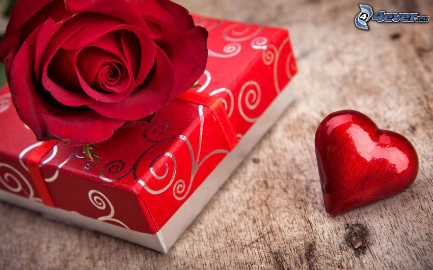 darček, červená ruža, srdce