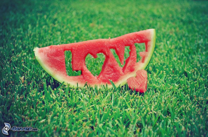láska, melón, love