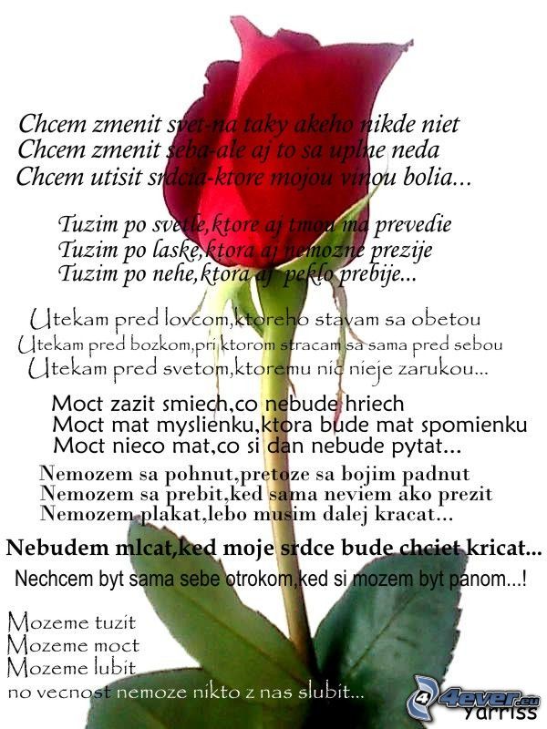 ruža, život, báseň, cit, láska