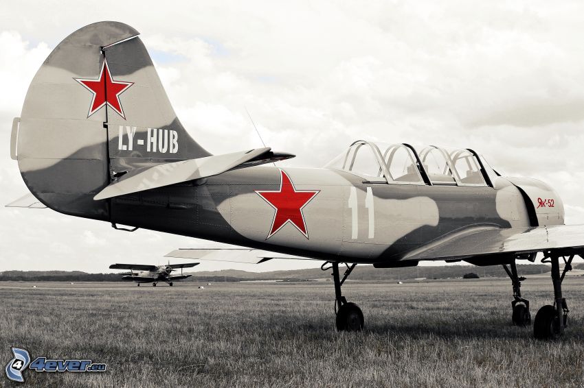 Yak-52