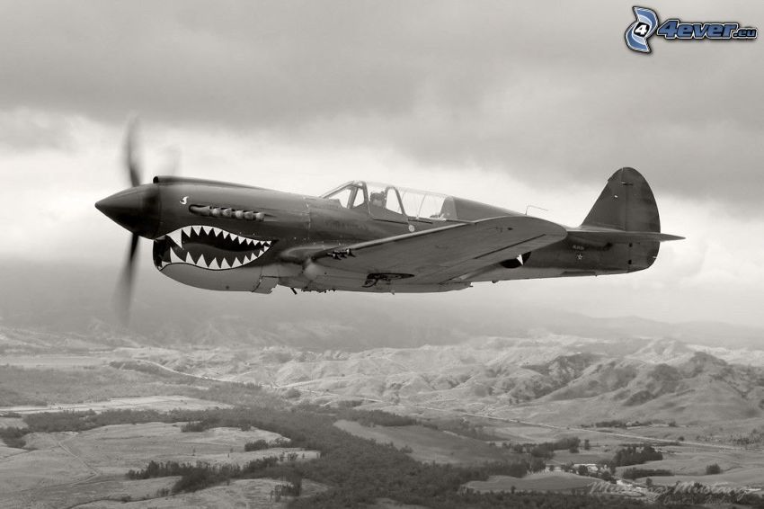P-51 Mustang, čiernobiela fotka