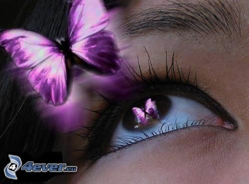 fialové oko, motýľ