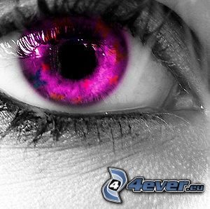 fialové oko