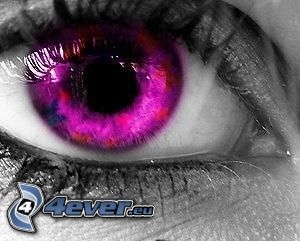 fialové oko