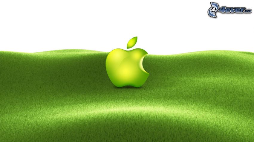 Apple, zelená tráva