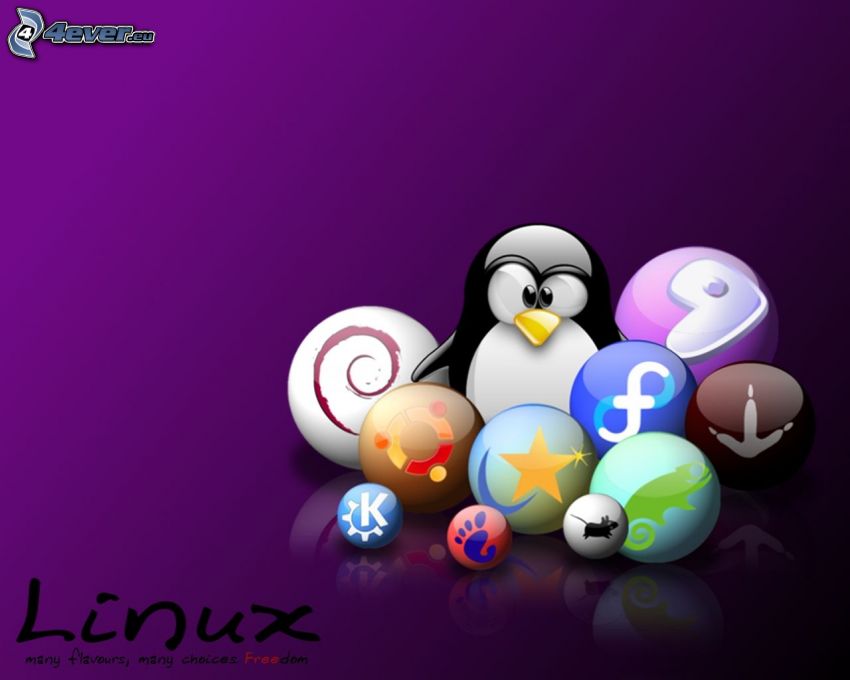 Linux, gule, fialové pozadie