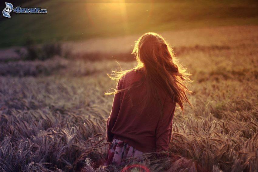 dievča na poli, dozreté pšeničné pole, slnko