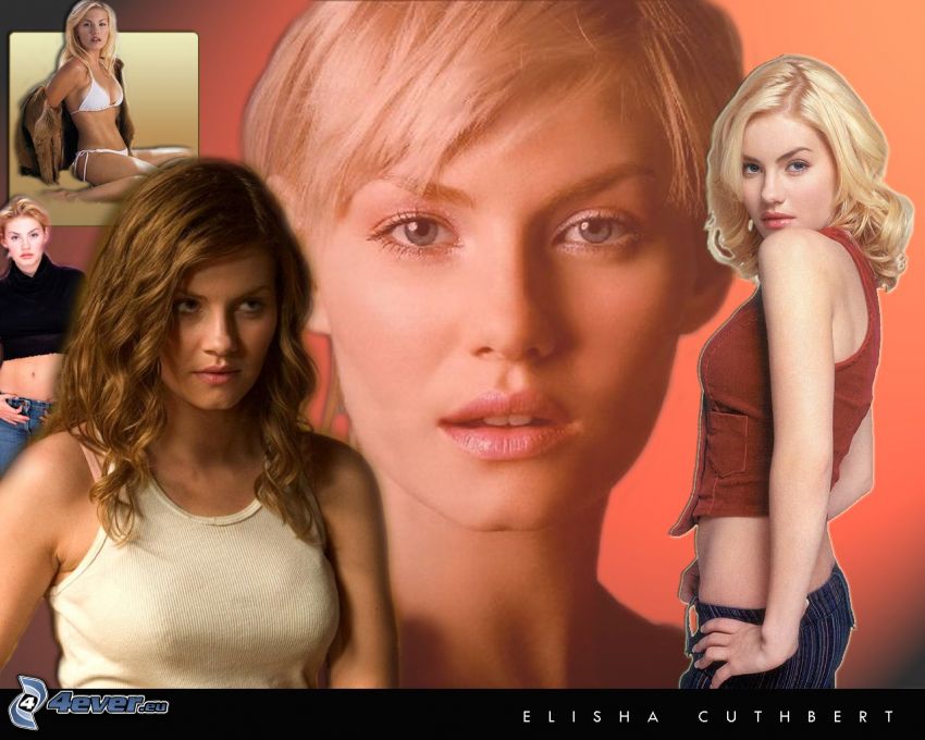 Elisha Cuthbert, herečka, Sexbomba od vedľa, Cat Tale, My Sassy Girl, blondínka