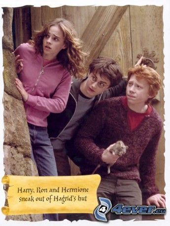 Harry Hermiona a Ron, Harry Potter, Ron Weasley, Hermiona Grangerová