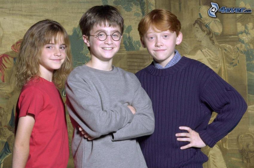 Harry Potter, Hermiona Grangerová, Ron