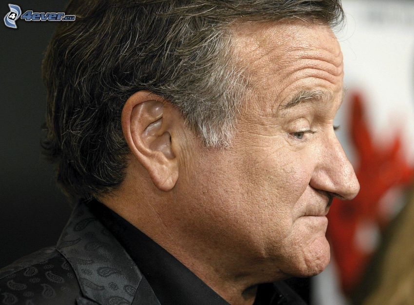 Robin Williams, profil