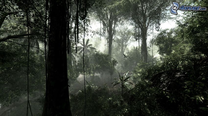 Crysis 3, džungľa, stromy