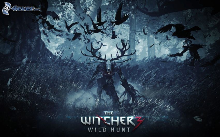 The Witcher, les, temnota, havrany