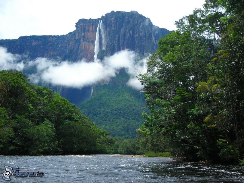 Angelov vodopád, rieka, les, oblaky, Venezuela