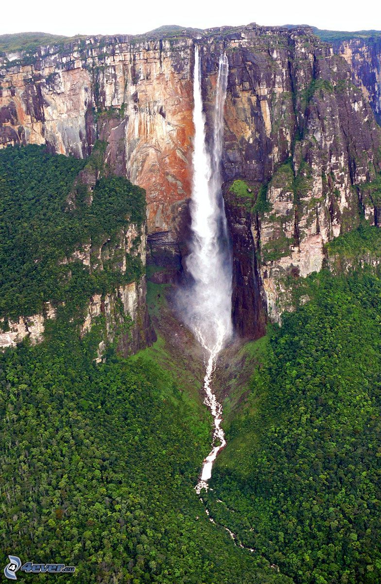 Angelov vodopád, útes, les, Venezuela