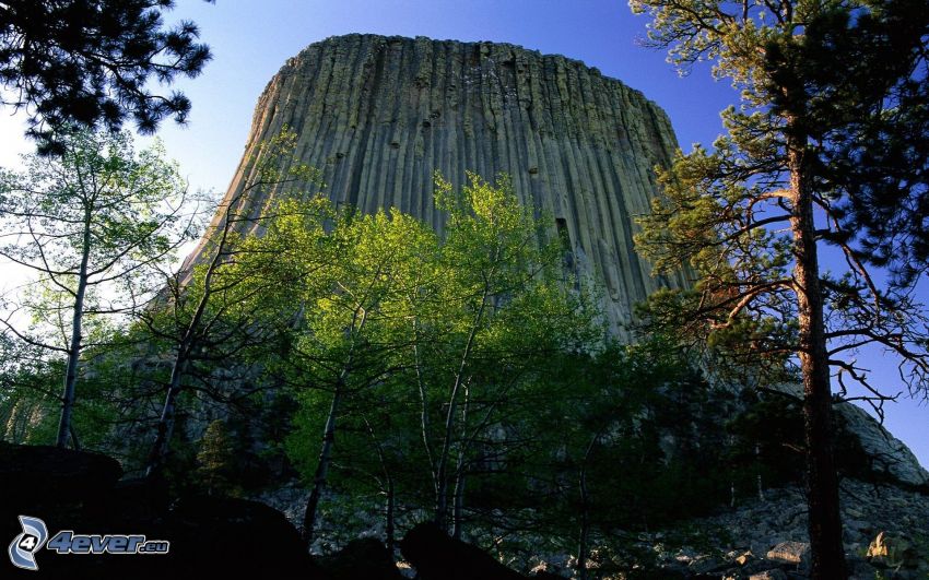 Devils Tower, skala, stromy